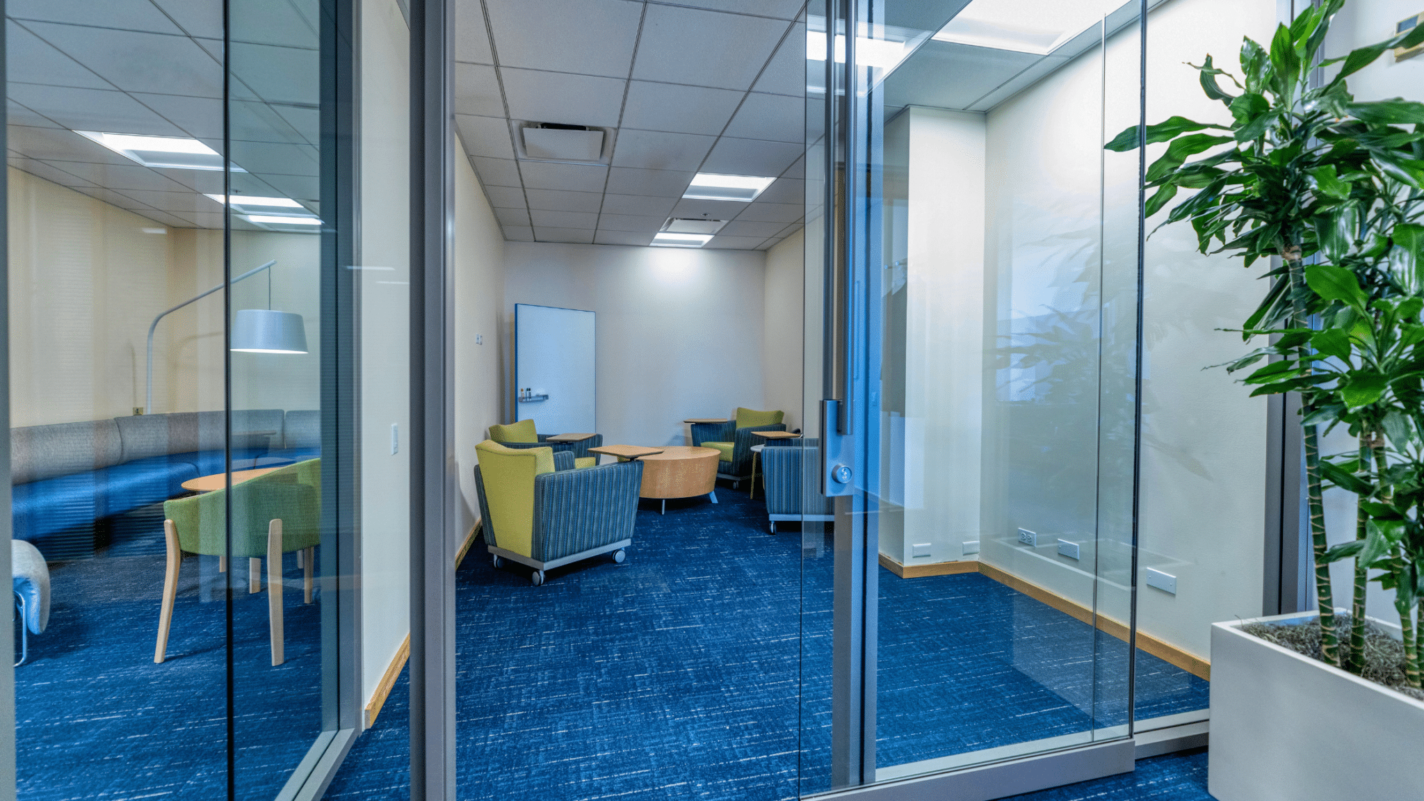 An office renovation depicting new blue carpets, glass doors, modern furniture, and a plant.